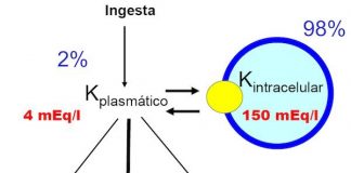 potasiosangre