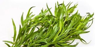 Beneficios-para-la-salud-del-estragon