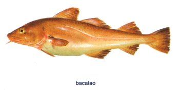 Potencia tu nutrición con aceite de hígado de bacalao bacalao