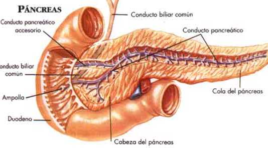 pancreatitis