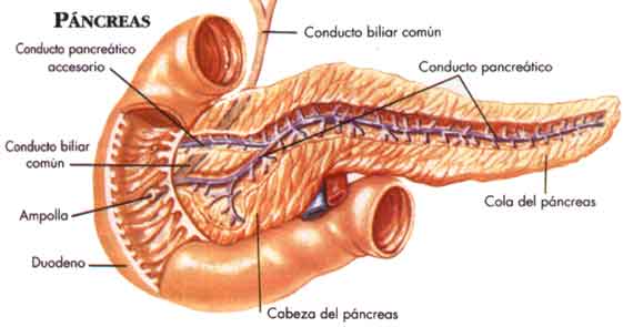 pancreatitis