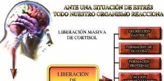 cortisol