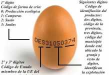 El huevo, alimento completo desde el punto de vista nutricional huevo-ecologico