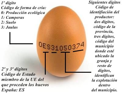 El huevo, alimento completo desde el punto de vista nutricional huevo-ecologico