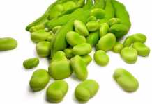 El haba y sus cualidades nutritivas habas.comer_