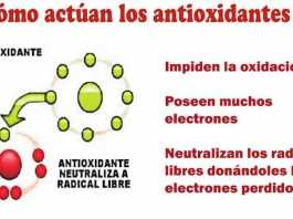 radicales-libres