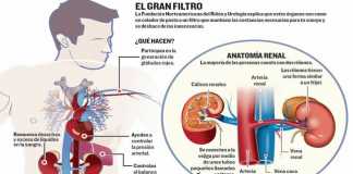 rinones