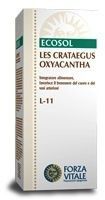 Forza Vitale Les Crataegus Oxycantha 50ml Forza Vitale Les Crataegus Oxycantha 50ml