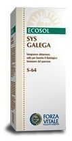 forza_vitale_sys_galega