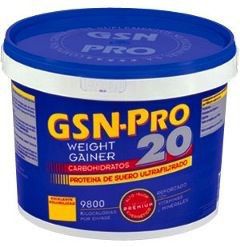 GSN Pro 20 sabor fresa 2,5Kg