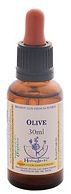 Healing Herbs Olive 30ml Healing Herbs Olive 30ml