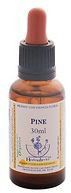 Healing Herbs Pine 30ml Healing Herbs Pine 30ml