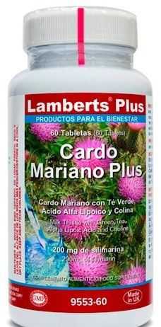 lamberts_plus_cardo_mariano_plus