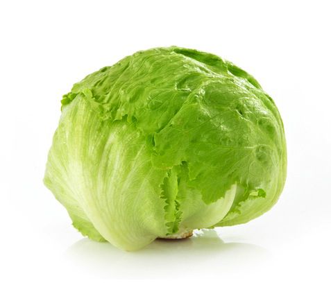 Cualidades medicinales de la lechuga iceberg lechuga