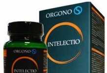silicium_orgono_intelectio