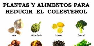 colesterol