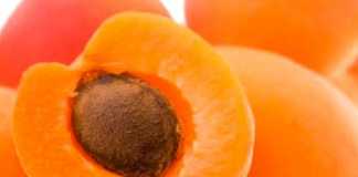 fruta