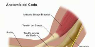 codo
