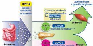 gloicemia