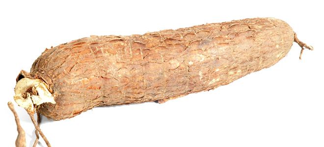 mandioca