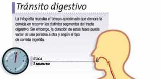 transitointestinal