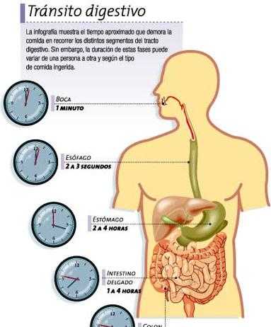 El ejercicio mejora el tránsito intestinal transitointestinal