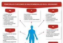 Minerales
