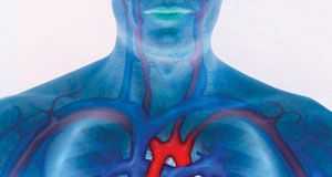 cardiovascular