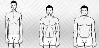 endomorfo