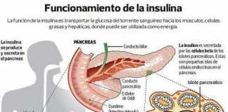 insulina2