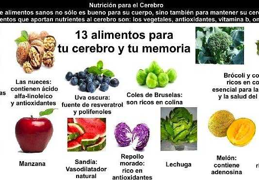 La neuronutrición contra el deterioro cognitivo memoria