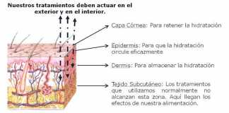 necesidades-piel
