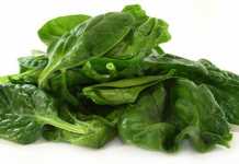Vegetales que son más nutritivos al ser cocinados espinaca