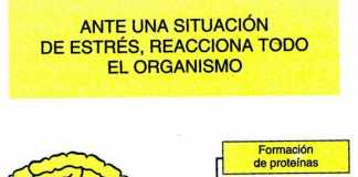 estress