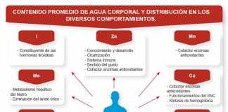 Minerales-salud