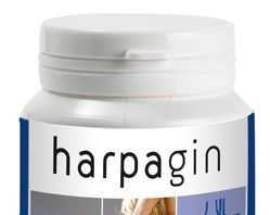 plameca_harpagin