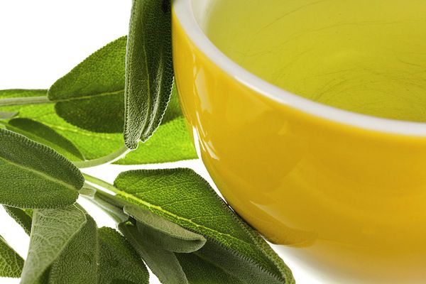 salvia