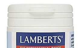 lamberts_zinc_citrato_25mg_120_comprimidos