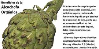 alcachofas