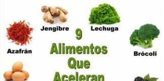 alimentossexo