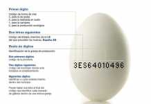 Porque incluir huevos en la alimentación diaria huevos