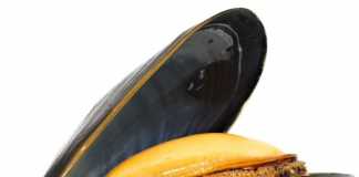 mejillones