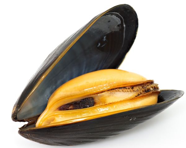 mejillones