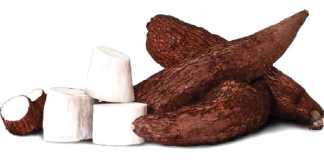 yuca
