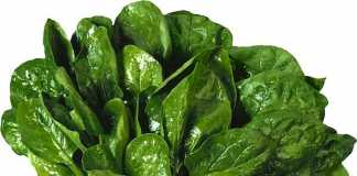 espinacas