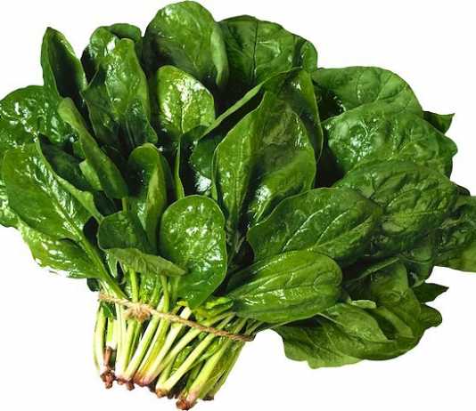 Las espinacas como fuente de vitamina C espinacas