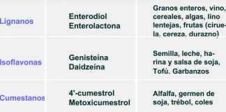 fitoestrogenos-beneficios