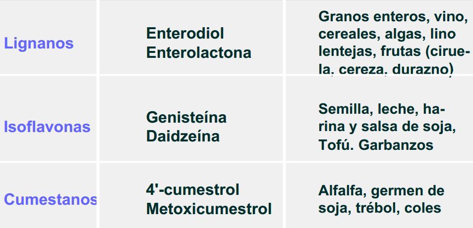 fitoestrogenos beneficios