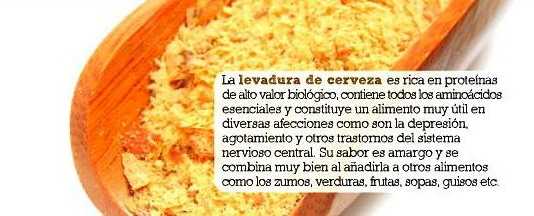 La levadura de cerveza y sus propiedades levadura_cerveza1