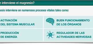 magnesio